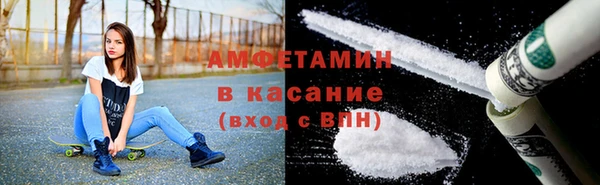 прущие грибы Баксан