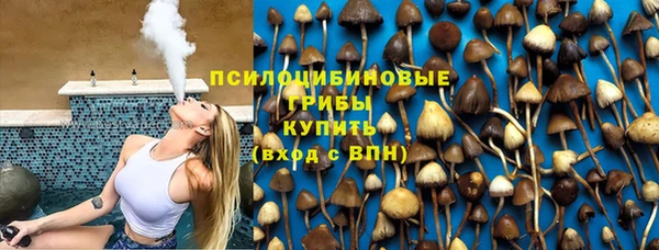 шишки Балабаново