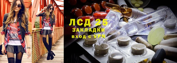 прущие грибы Баксан