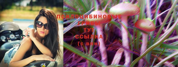 прущие грибы Баксан