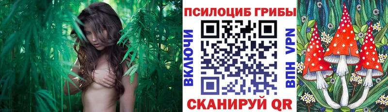 Галлюциногенные грибы Cubensis  Лагань 